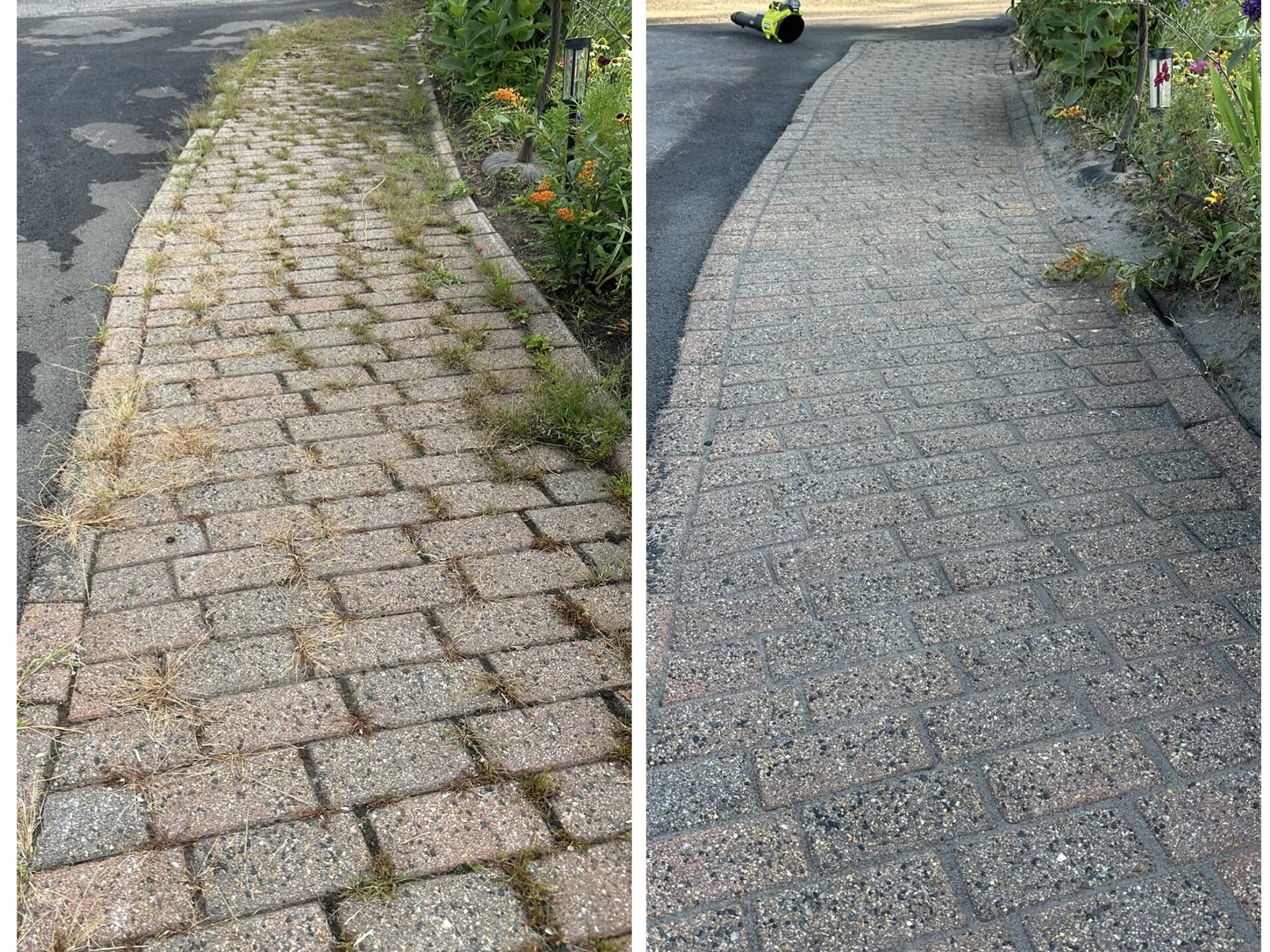 Paver restoration — before and after