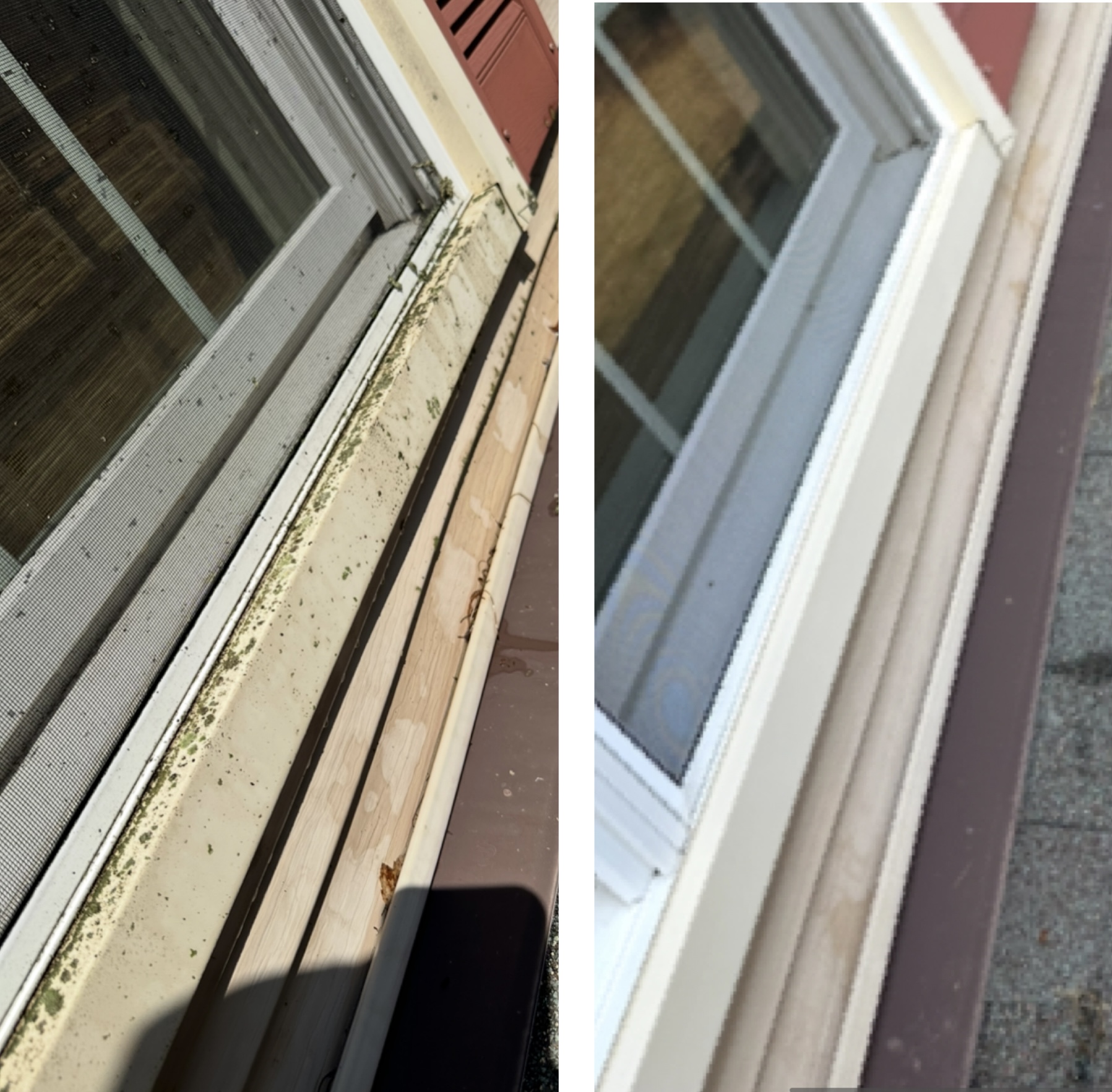 House and siding soft wash — before and after