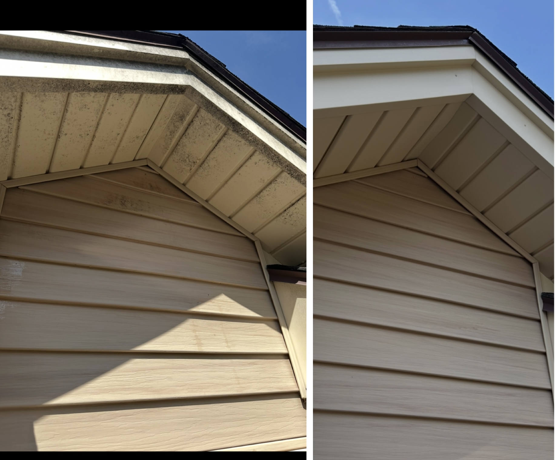 House and siding soft wash — before and after