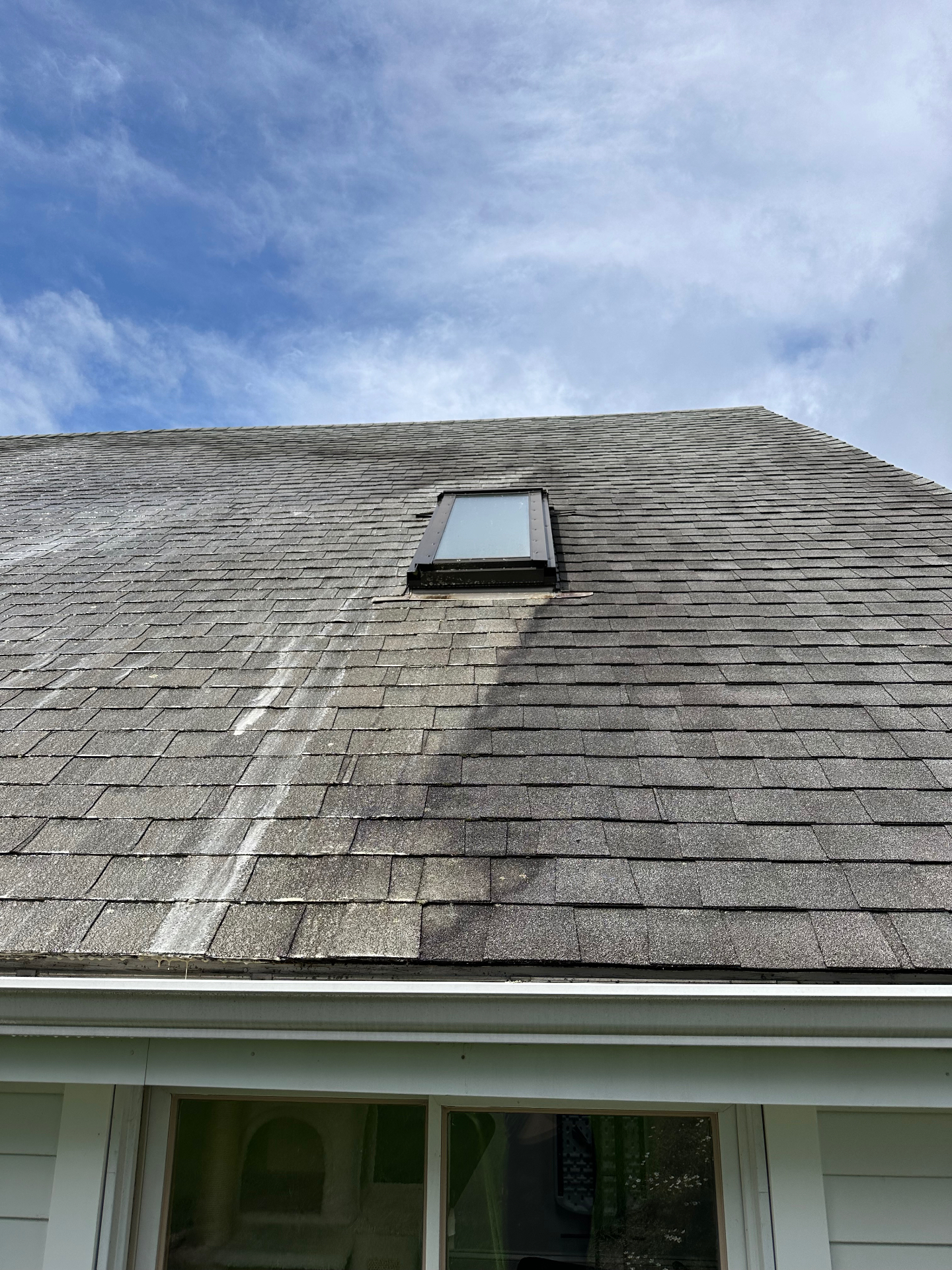 Roof soft wash — before and after