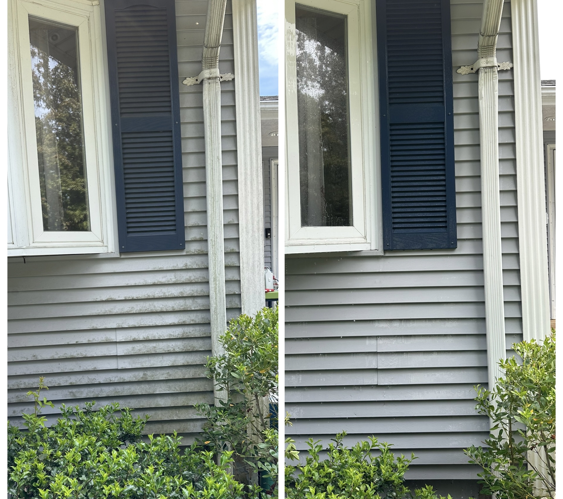 House and siding soft wash — before and after