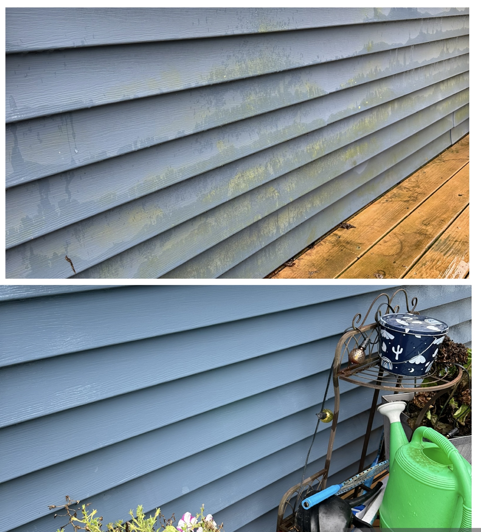 House and siding soft wash — before and after