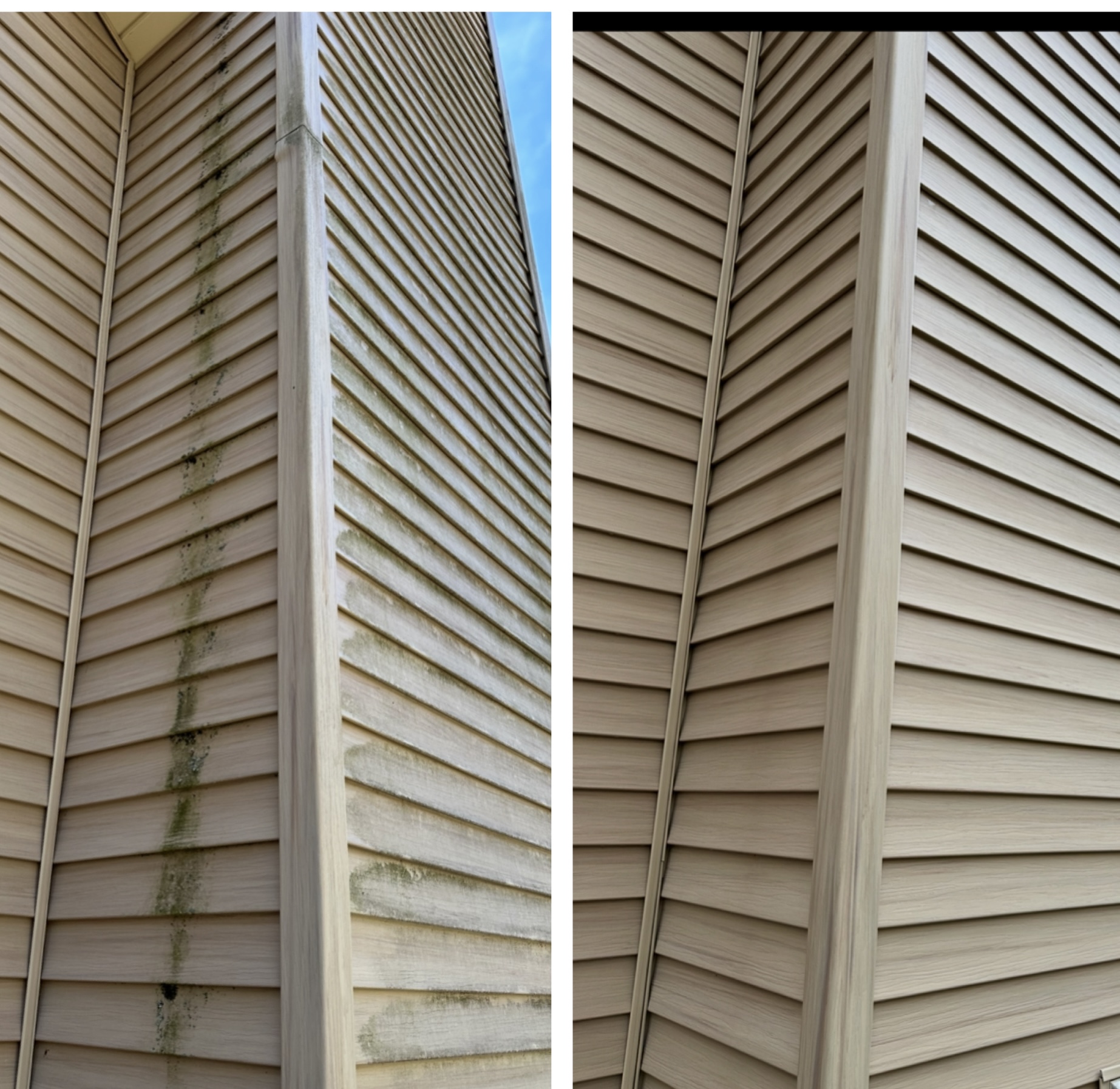 House and siding soft wash — before and after