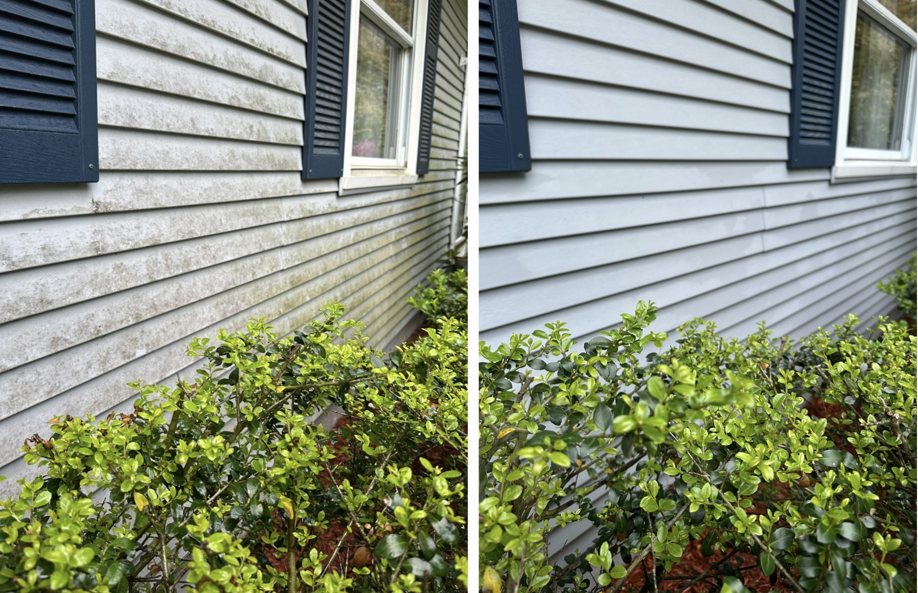 House and siding soft wash — before and after