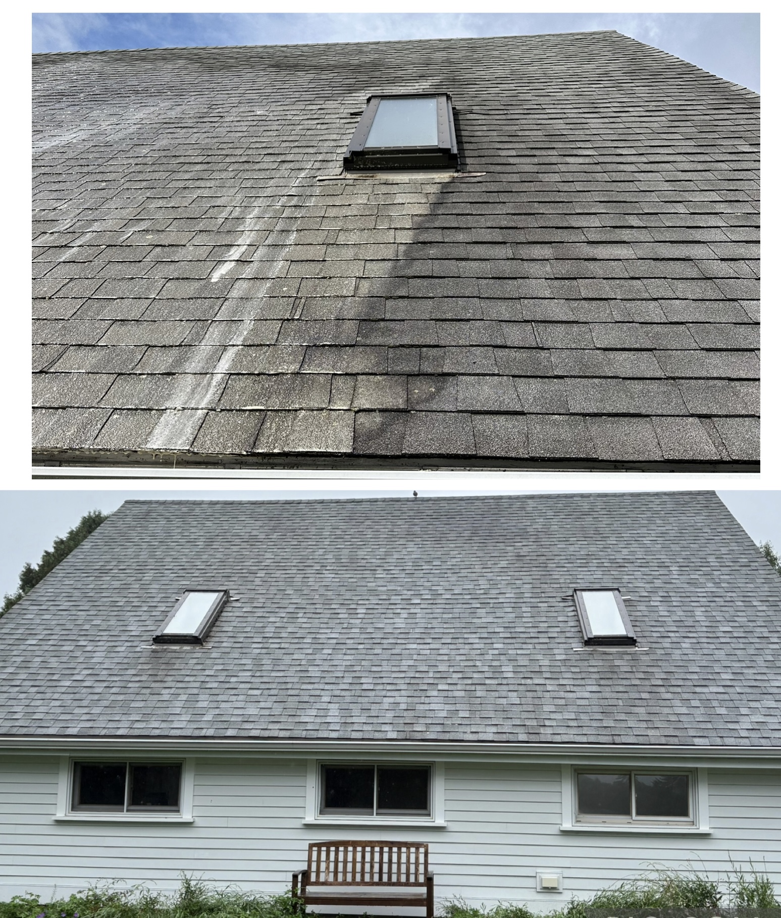 Roof soft wash — before and after