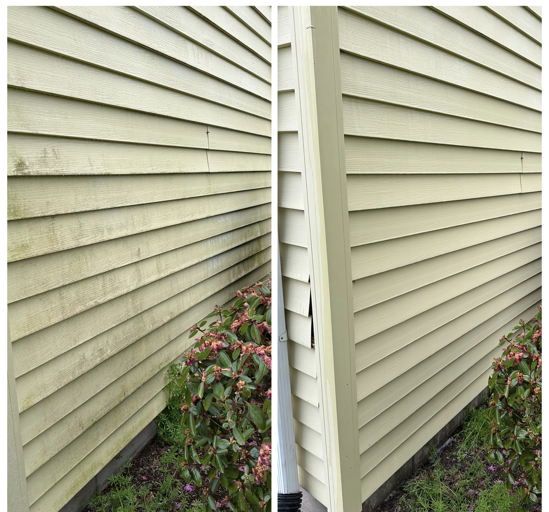 House and siding soft wash — before and after