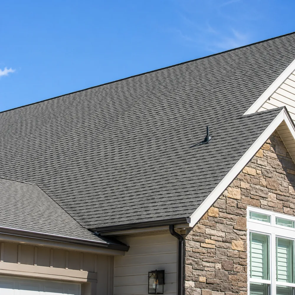 Roof soft wash — after