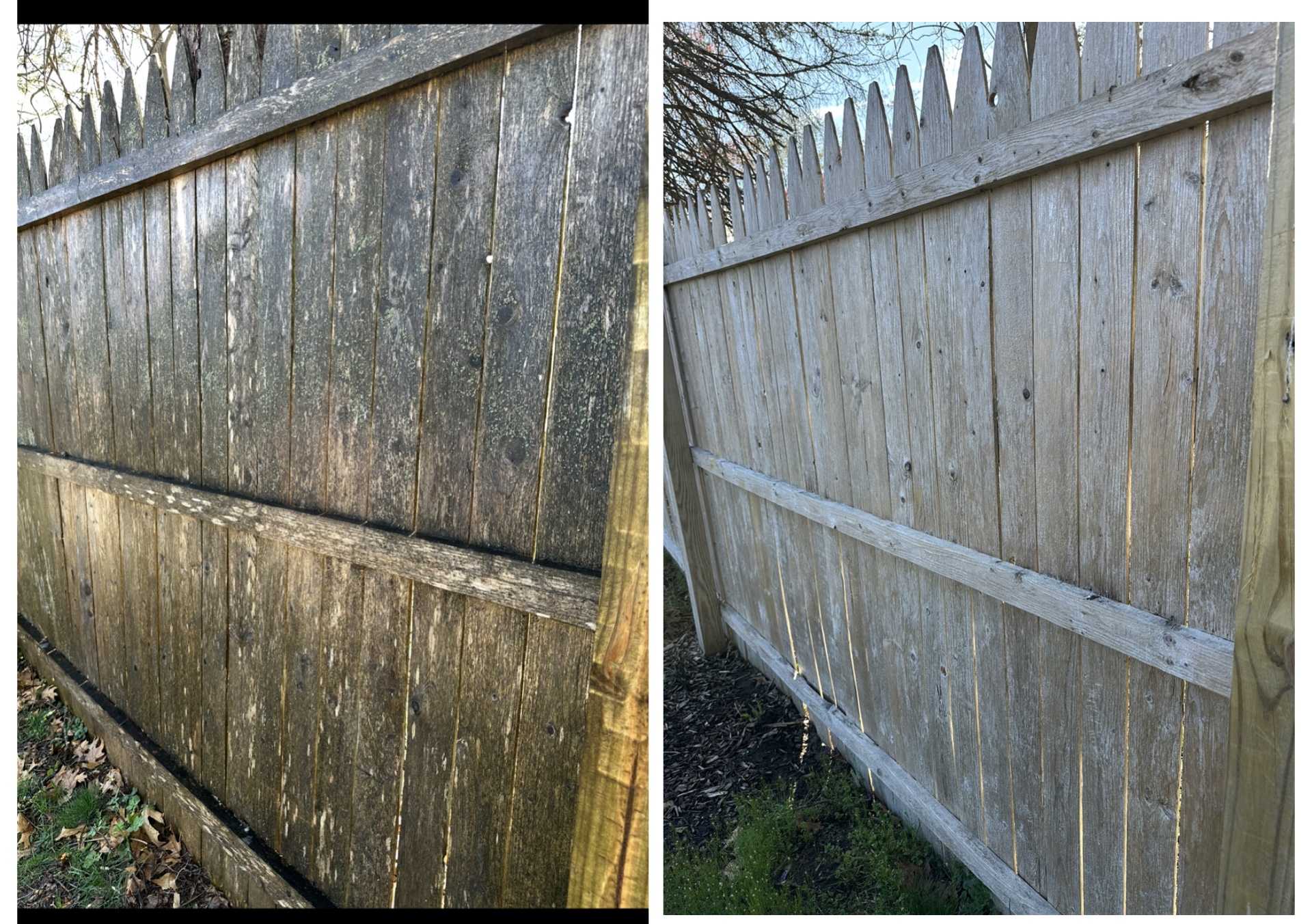 Deck and fence cleaning — before and after