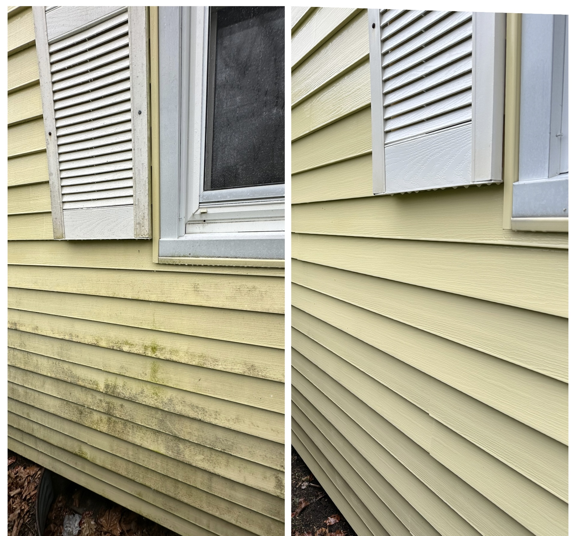 House and siding soft wash — before and after