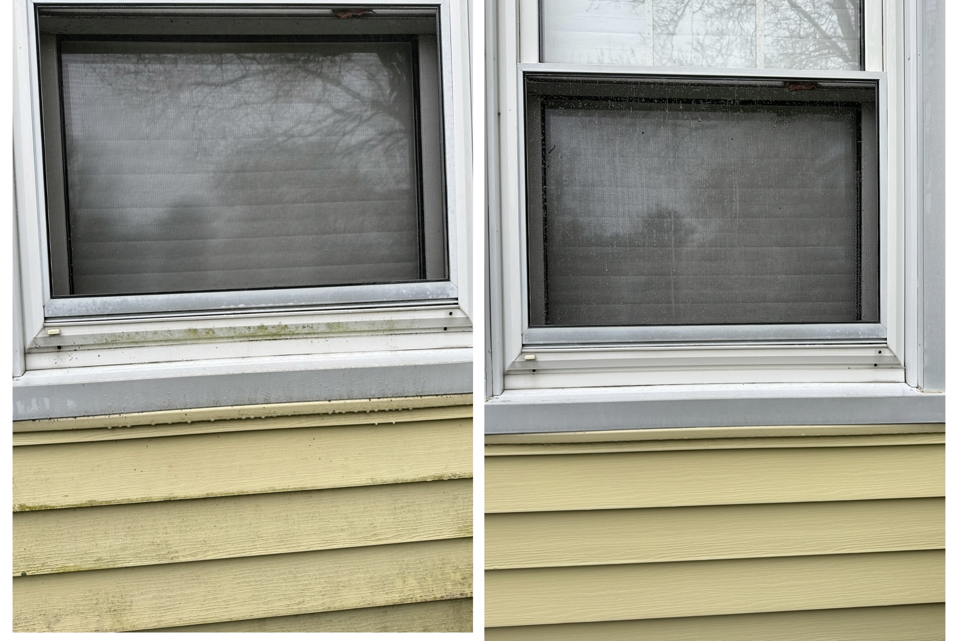 House and siding soft wash — before and after