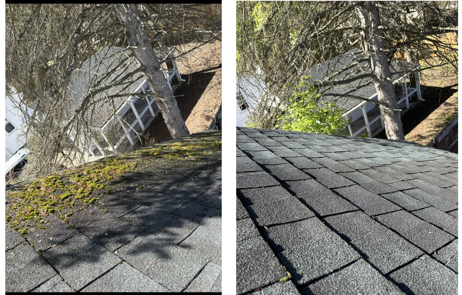 Roof soft wash — before and after